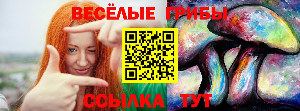 Галлюциногенные грибы GOLDEN TEACHER  Вход с VPN  Псилоцибиновые грибы Psilocybe  Владивосток 